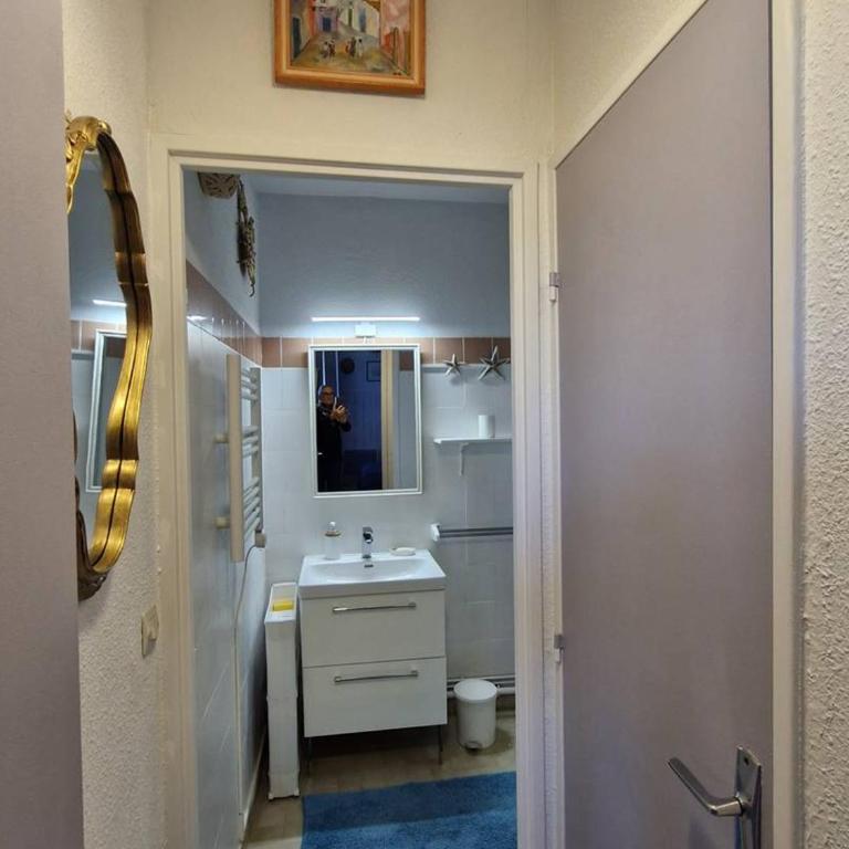 Appartement T2 proche étang et thermes, climatisé - FR-1-571-73 - Appartement - 6