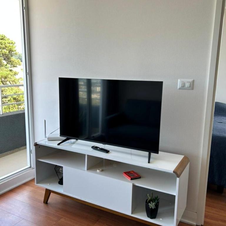 Monkey apartment Concon - One-Bedroom Apartment - 4