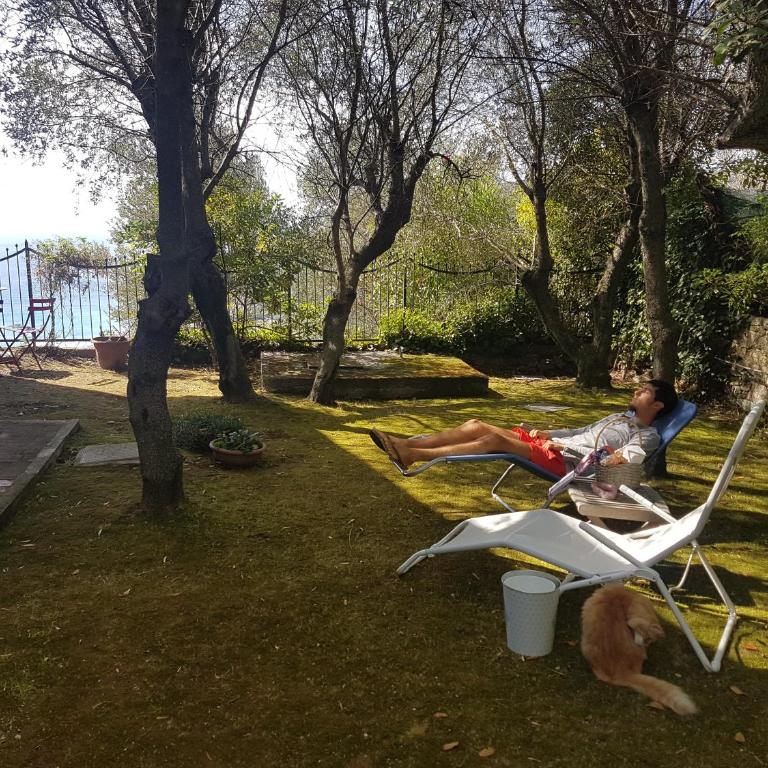 La Camera Tra Gli Ulivi Dream Finale - Camera Matrimoniale con Bagno Privato - 10