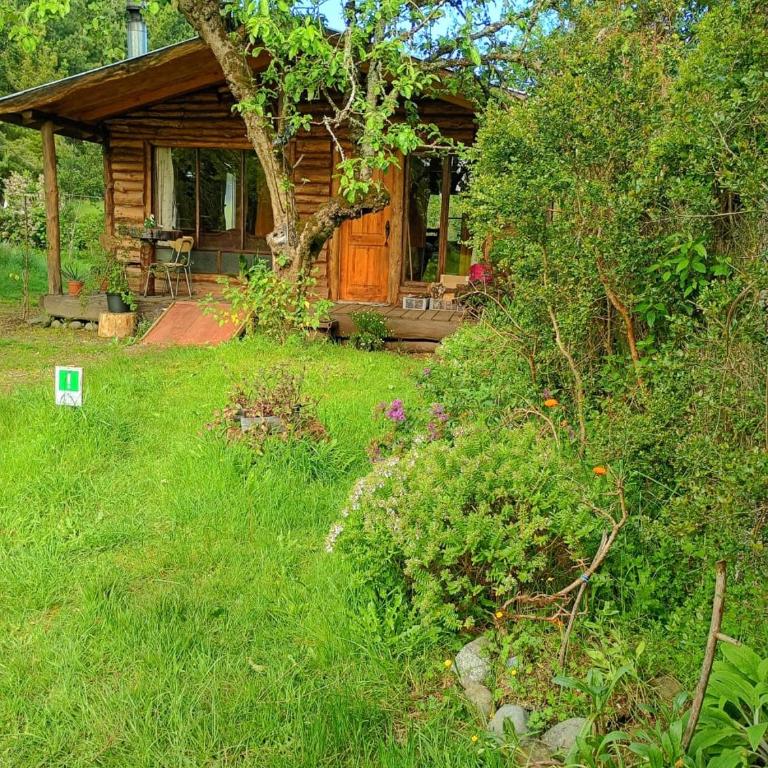 Catemu Beraca - Two-Bedroom Apartment - 3