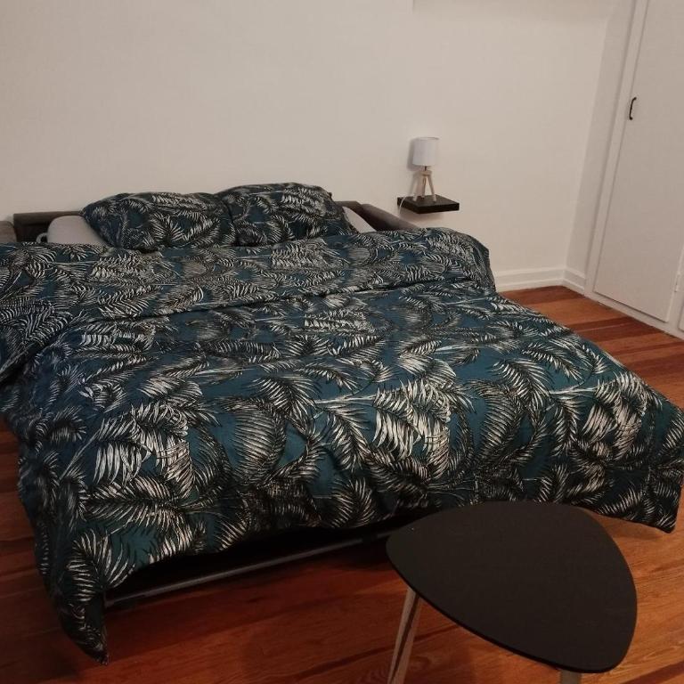 Le "Clairval" au bord du lac Léman - Studio ensoleillé - Appartamento con 1 Camera da Letto - 10