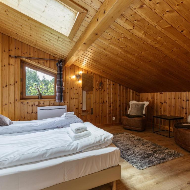 Arve - Chalet 4CH Jardin Nature Vues BBQ Poele - Chalet - 28