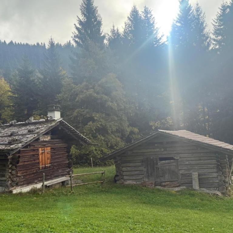 Cosy apartment in heritage protected swiss chalet - Apartment mit 2 Schlafzimmern - 23