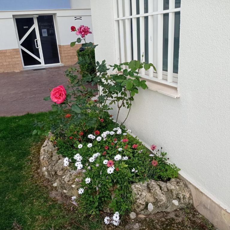 Palmeras III Solo Familias Serviplaya!!! - Apartamento de 2 dormitorios - 24