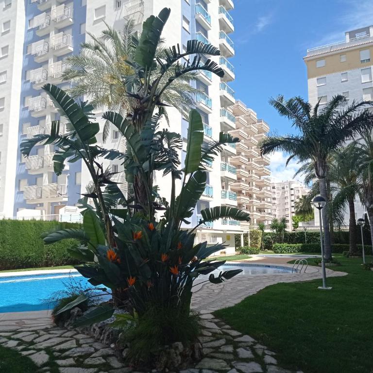Palmeras III Solo Familias Serviplaya!!! - Apartamento de 2 dormitorios - 27