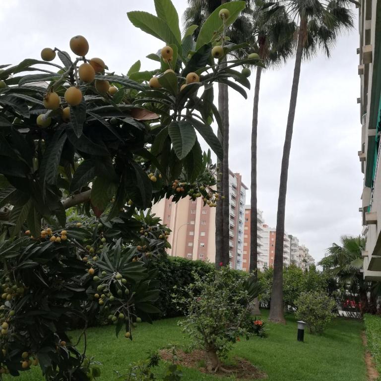 Parque VII Solo Familias Serviplaya - Apartamento Deluxe - 30
