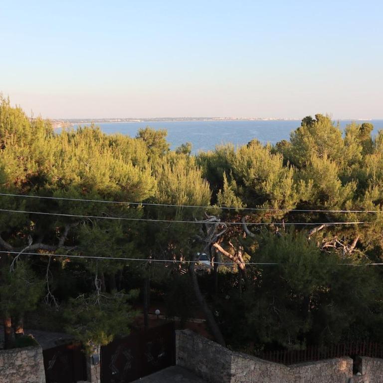 Charming villa with sea view, Villalto - Villa - 15