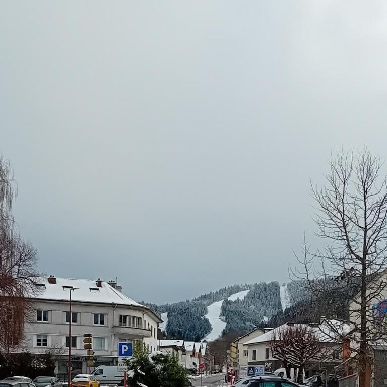 Gérardmer Centre, Calme, 95m Spacieux - Appartement 2 Chambres - 21