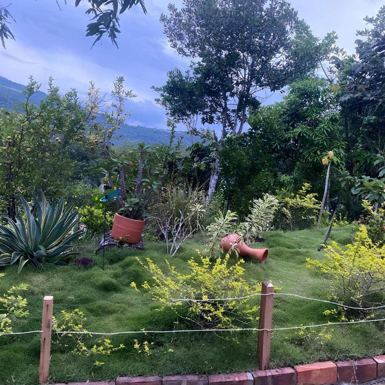 Country cabin with mountain views - Casa - 14