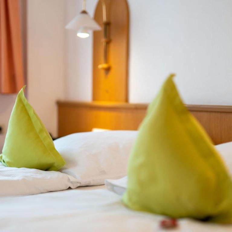 Hotel Restaurant Frühlingsgarten - Doppelzimmer - 12