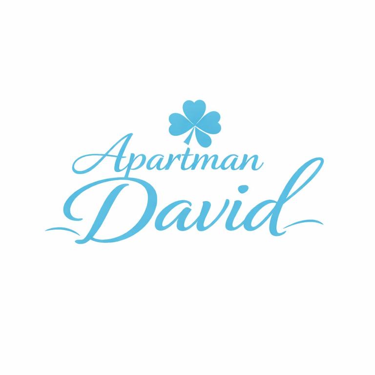 Apartman David - Apartman sa 1 Spavaćom Sobom - 4