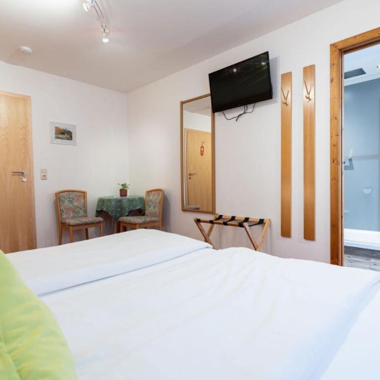 Hotel Restaurant Frühlingsgarten - Budget Doppelzimmer - 8