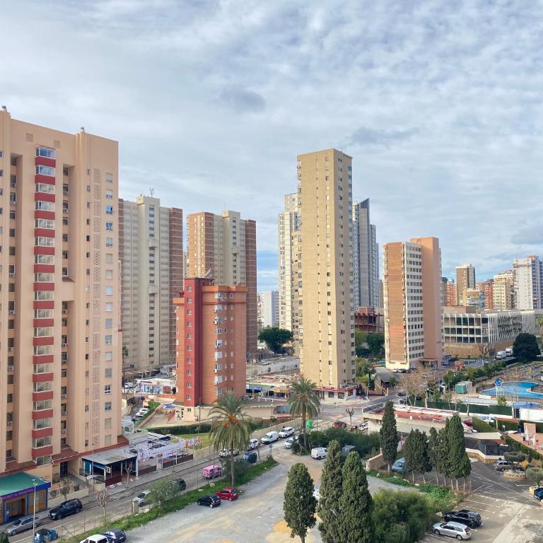 Mariscal 5-Fincas Benidorm - Apartamento Estándar - 13
