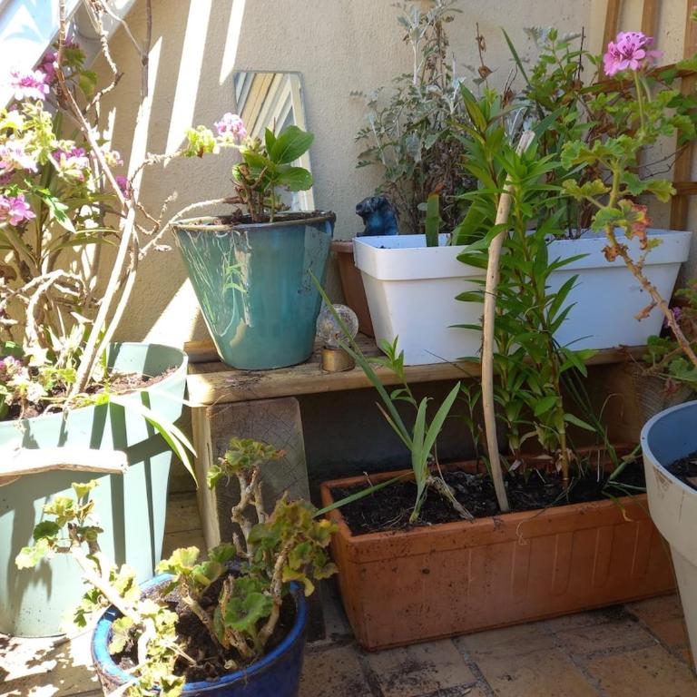 Logement au calme à 50m de l'océan - Appartement 2 Chambres - 13