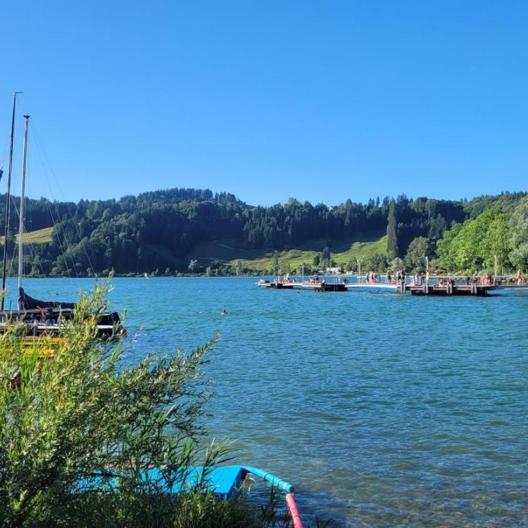Bergflügel Fewo Allgäu, Schwimmbad, Sauna, Skilift - Apartment mit 1 Schlafzimmer - 35