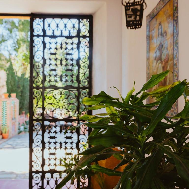Hacienda Clavero Nine Superior Apartment - Apartamento de 2 dormitorios con terraza - 36