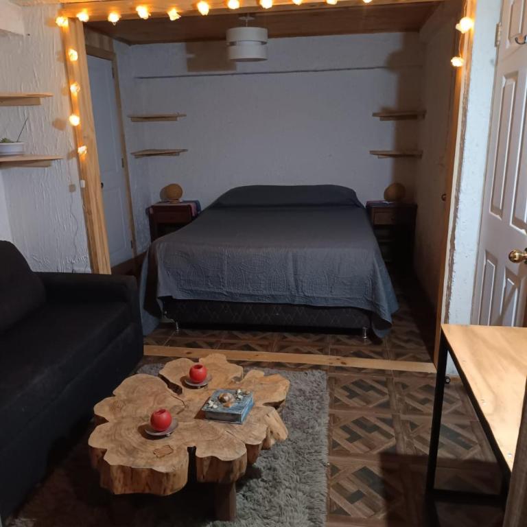 Mona's House - One-Bedroom Apartment - 23