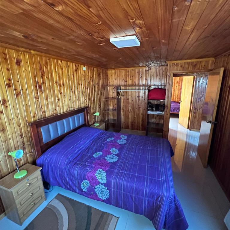 Casa Villarrica - Casa con 1 dormitorio - 2