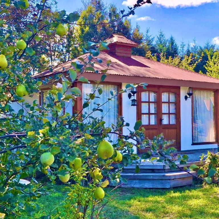 Arriendo de Cabañas con Piscina y Entorno Natural, Villarrica - Casa - 45