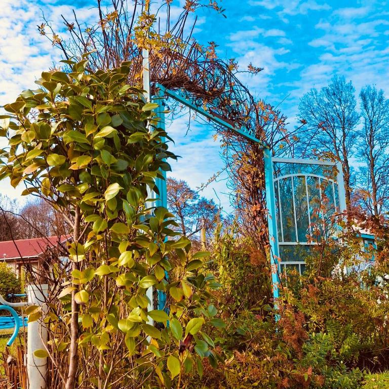 Arriendo de Cabañas con Piscina y Entorno Natural, Villarrica - Casa - 47