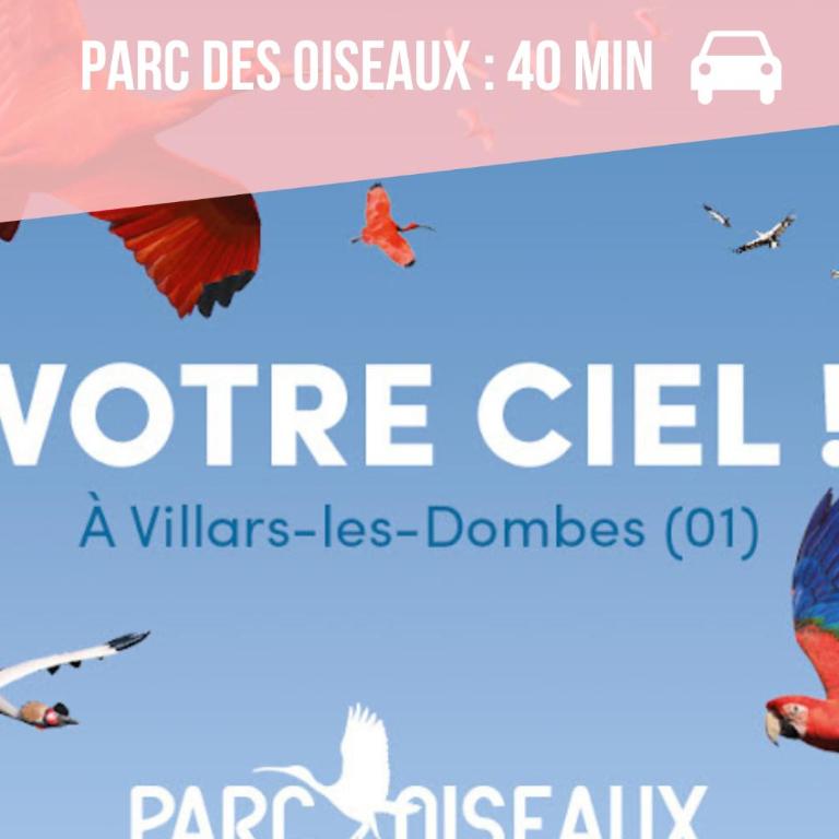Studio L'éclat vue sur rhône, CNPE, accès direct via rhona, clim - Studio Deluxe - 22
