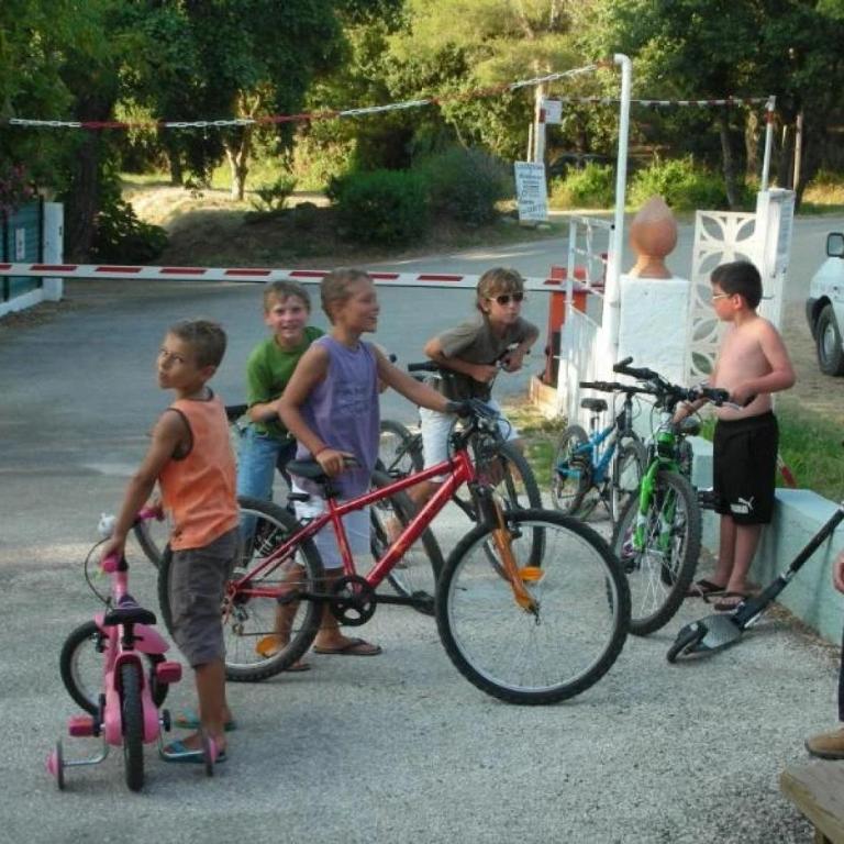 ZEcamping 3 à 4km de la plage piscine chiens acceptés jacuzzi - Mobile Home - 21