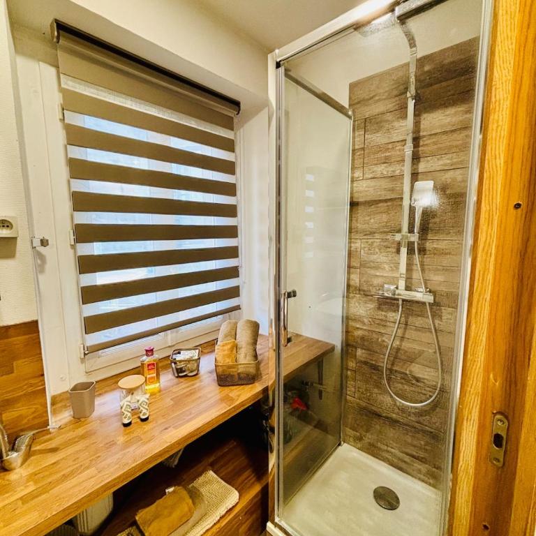 cosy cocon, parking libre, proche Genève - Appartement 1 Chambre - 7