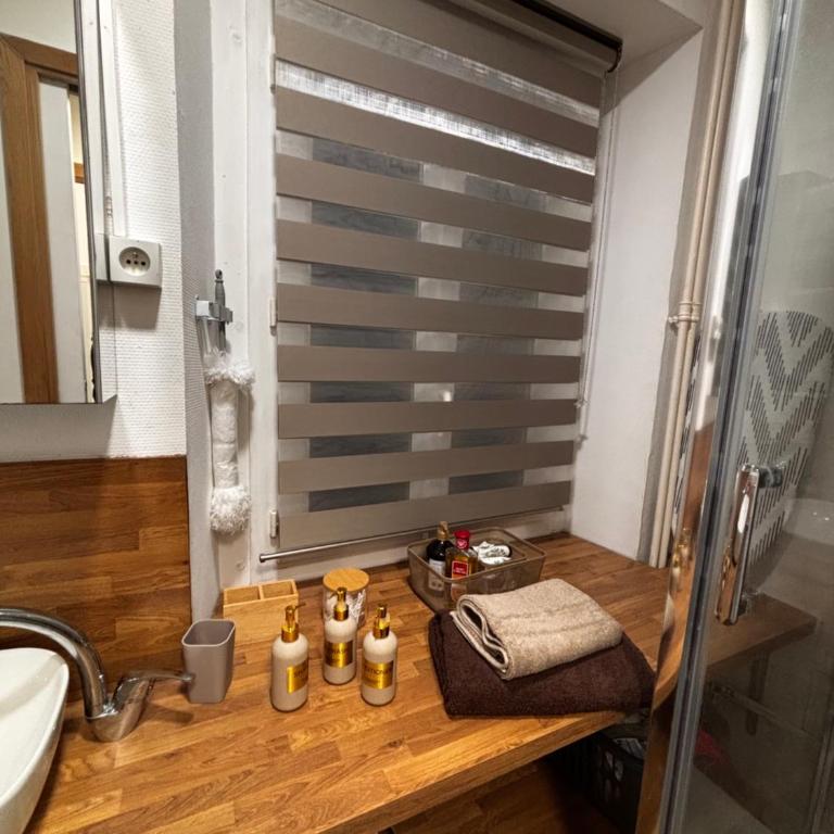 cosy cocon, parking libre, proche Genève - Appartement 1 Chambre - 17