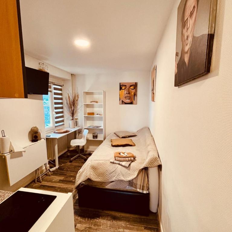 cosy cocon, parking libre, proche Genève - Appartement 1 Chambre - 20