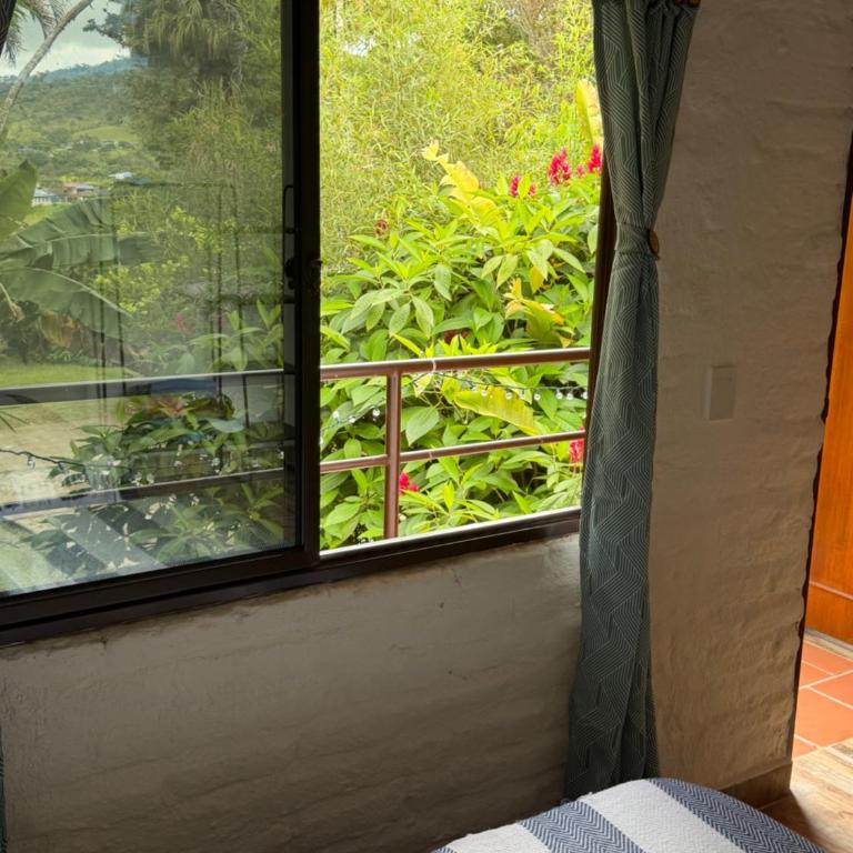 hospedaje ecopolis birds - Twin Room with Bathroom - 11