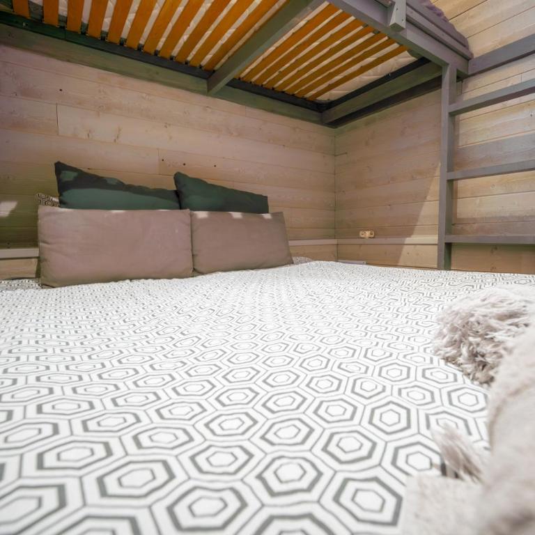 Les Fougères - Appartement 1 Chambre - 29