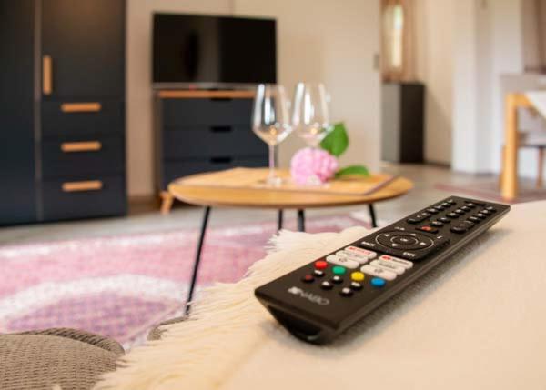 Fischerhof Appartements - Studio mit Terrasse - 5