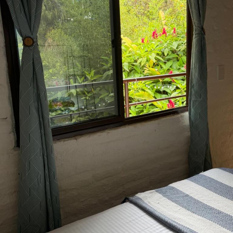 ecopolis birds lodge - Double Room with Private Bathroom - 21