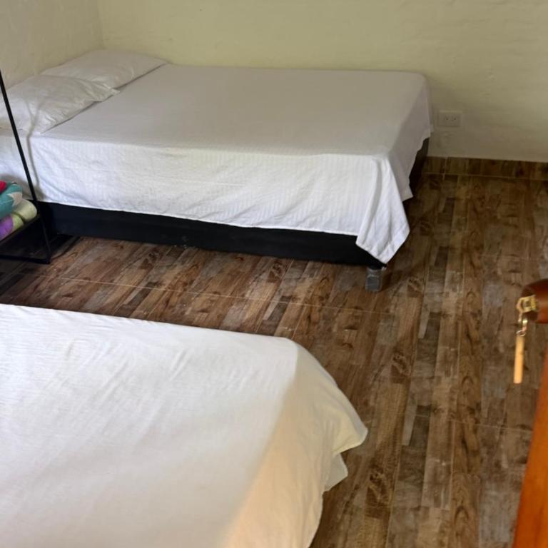 ecopolis birds lodge - Double Room with Private Bathroom - 12