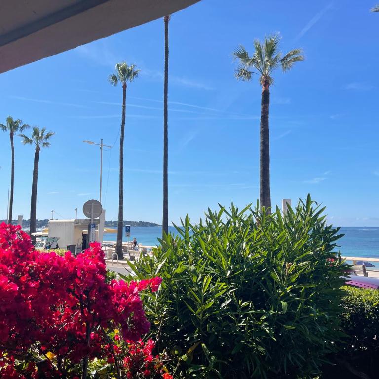 Juan Plage - Studio-Apartment mit Meerblick - 4