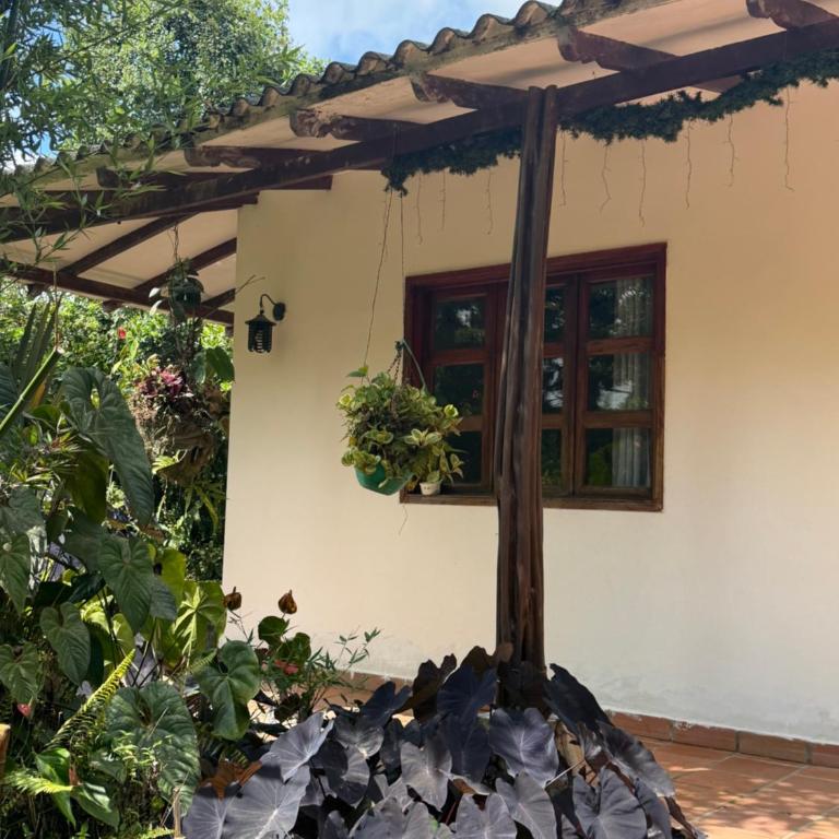 Ecopolis hospedajes casa de campo tradicional - Four-Bedroom Vacation Home - 42