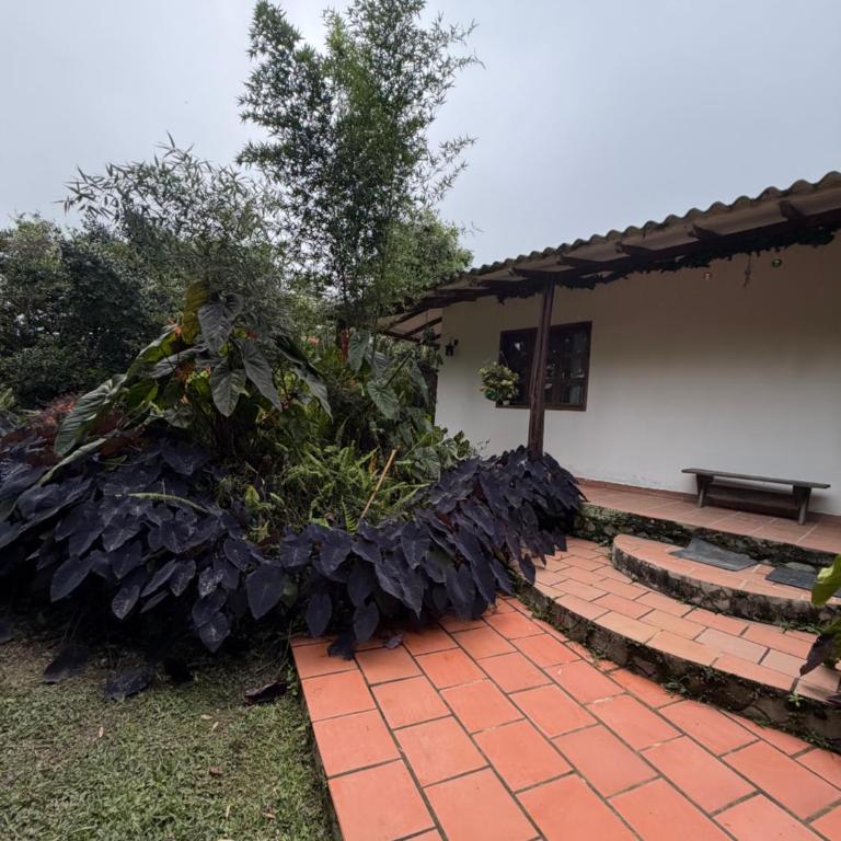 Ecopolis hospedajes casa de campo tradicional - Four-Bedroom Vacation Home - 49