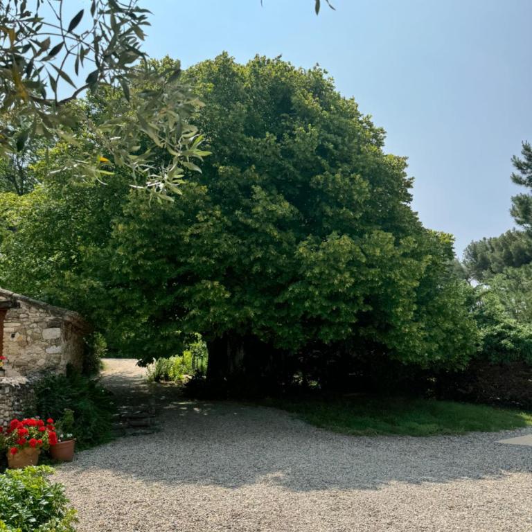 Ermitage Saint Quinis - le Ponant, maison en bois eco ondes - Appartement 1 Chambre - 20