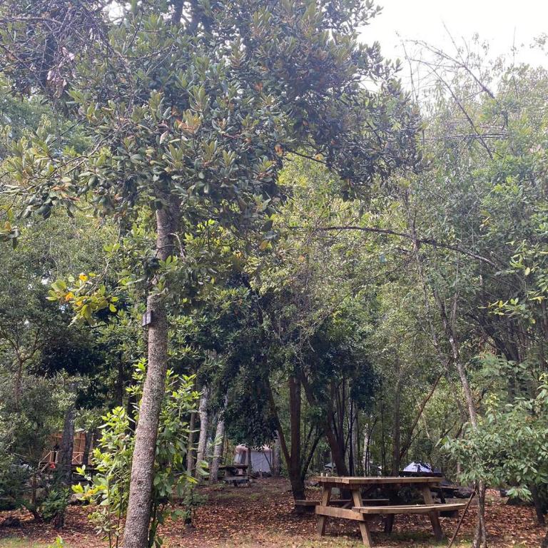 Camping Aldea Molco - Empty Lot - 5