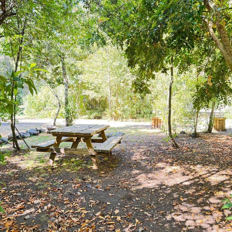 Camping Aldea Molco - Empty Lot - 8