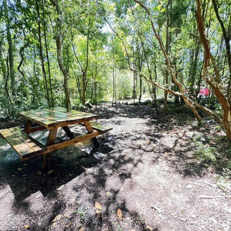 Camping Aldea Molco - Empty Lot - 9