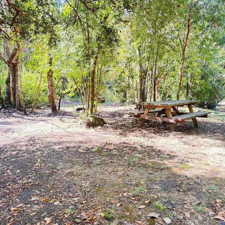 Camping Aldea Molco - Empty Lot - 10