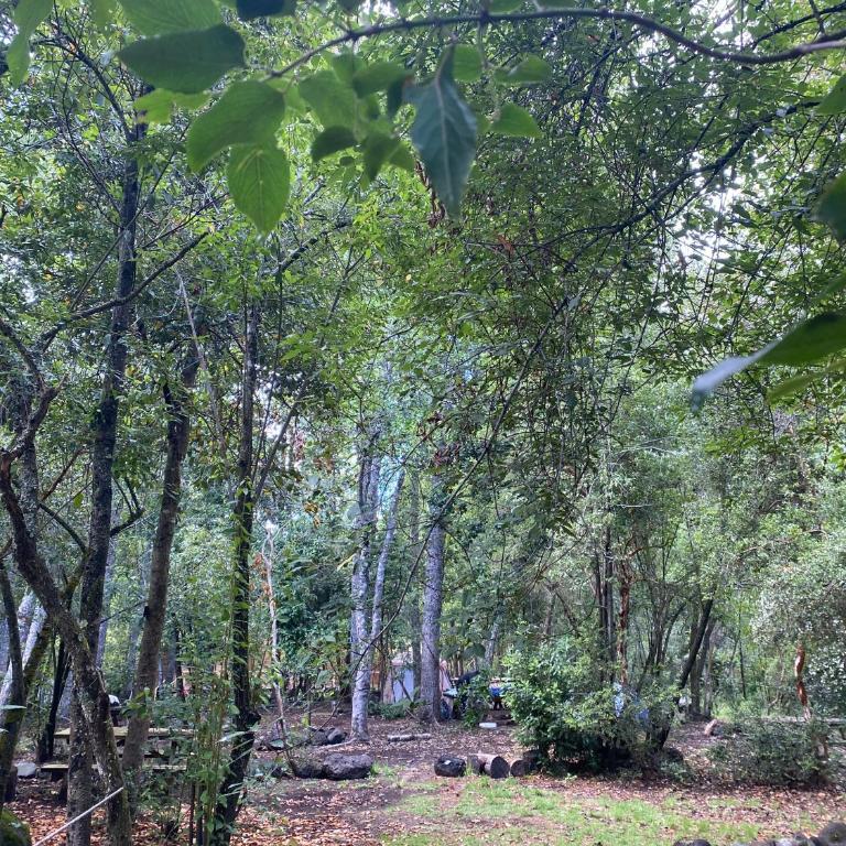 Camping Aldea Molco - Empty Lot - 11