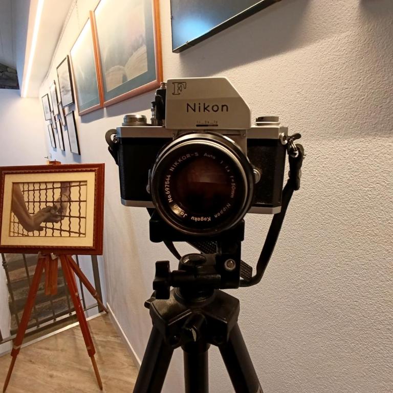 Casa Hygge - Lake Front - Photographer's Art Home - Appartamento con 2 Camere da Letto - 73
