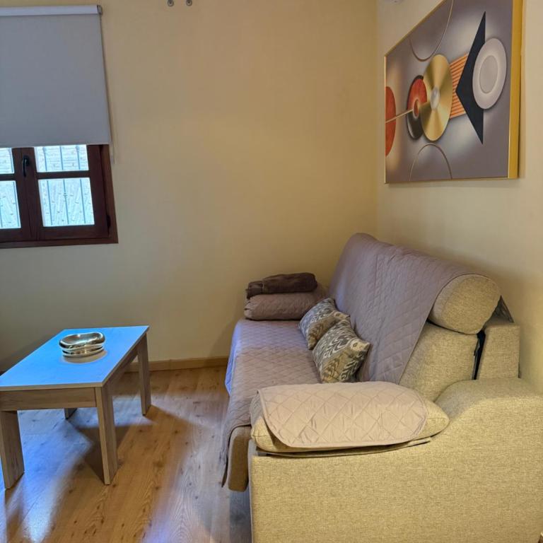 ACOGEDOR APARTAMENTO con TERRAZA, CASCO HISTORICO - Apartamento de 2 dormitorios - 5