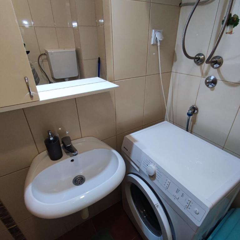 Jelena's place - Apartman sa 1 Spavaćom Sobom - 14