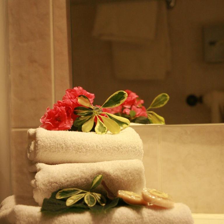 Hotel les Flocons - Chambre Double ou Lits Jumeaux Supérieure - 1