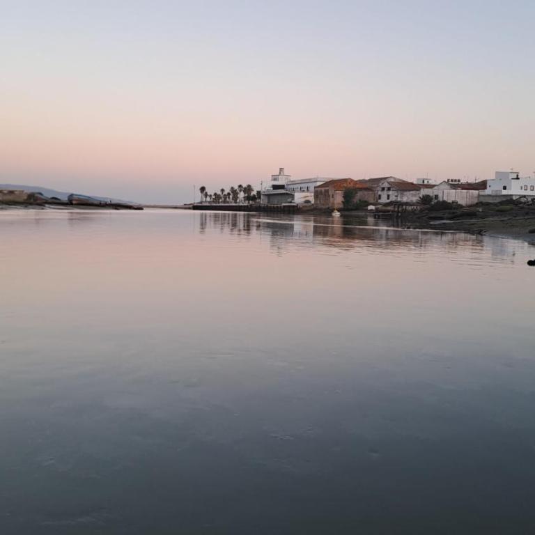 La Marinera, beautiful apartment with terrace - Apartamento de 1 dormitorio - 16