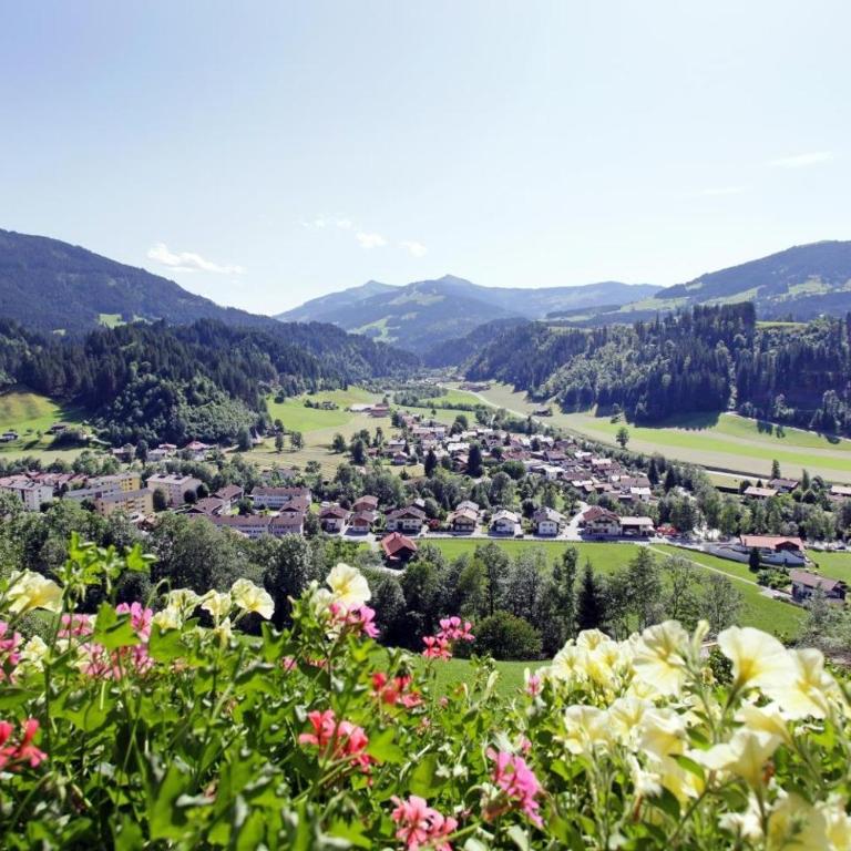 Bauernhof Mödling - Apartment mit Blick auf die Berge - 4