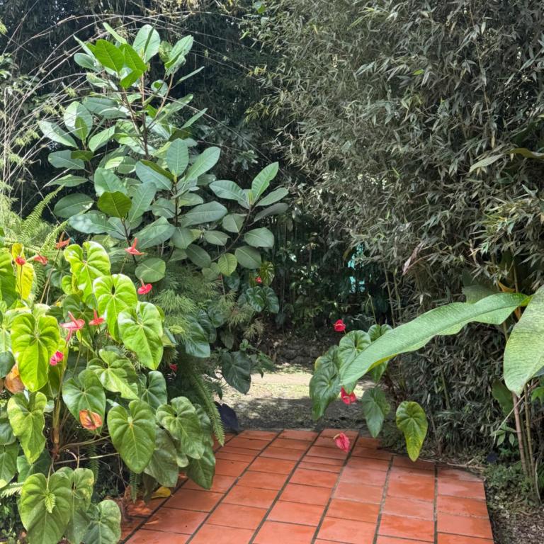 ecopolis hospedaje birding - Habitación Doble - 78